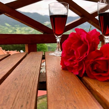 Apostolos Hotel Мецовон Экстерьер фото